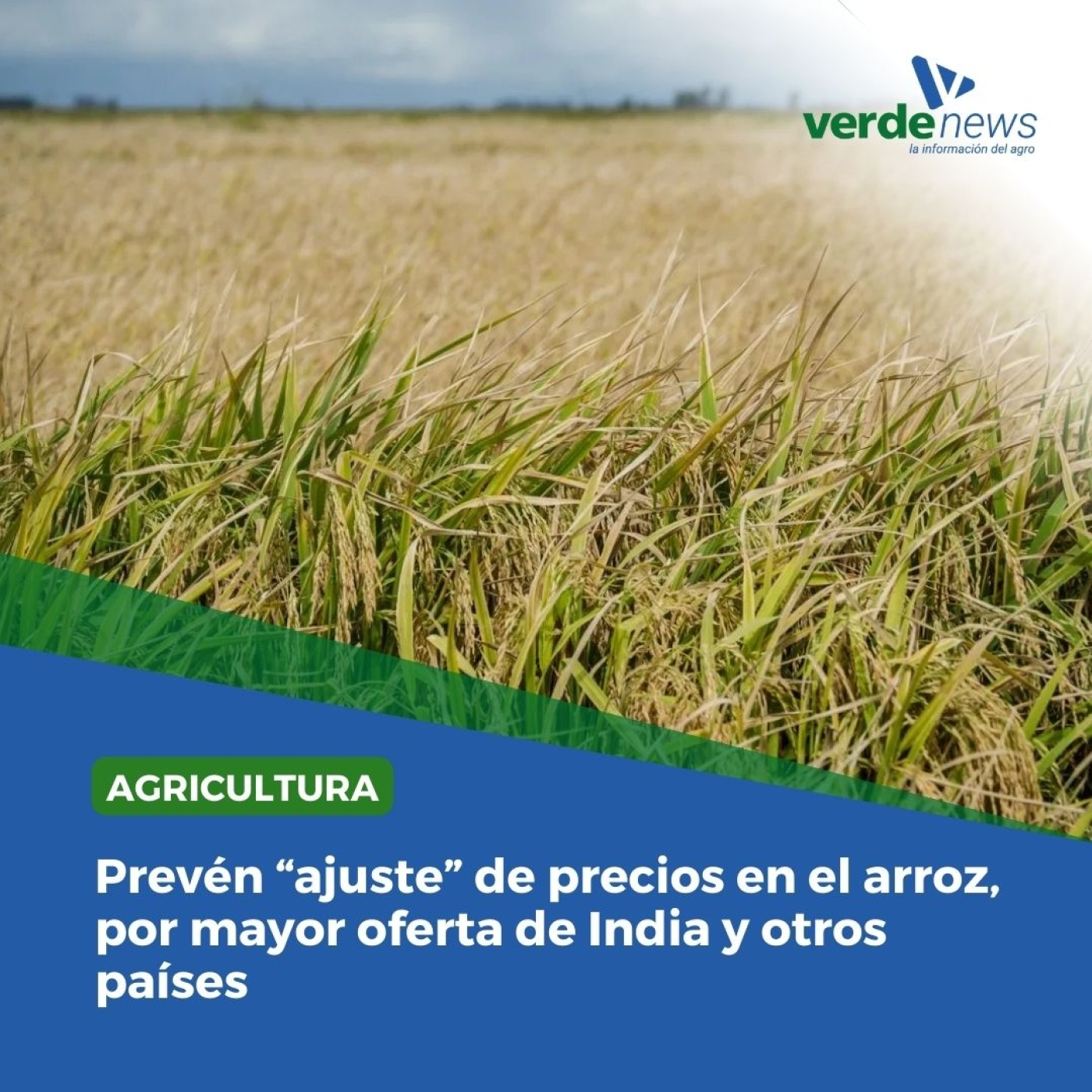 Eduardo Iguini- Director de Agrigrain Uruguay - 30/09/24 episode artwork