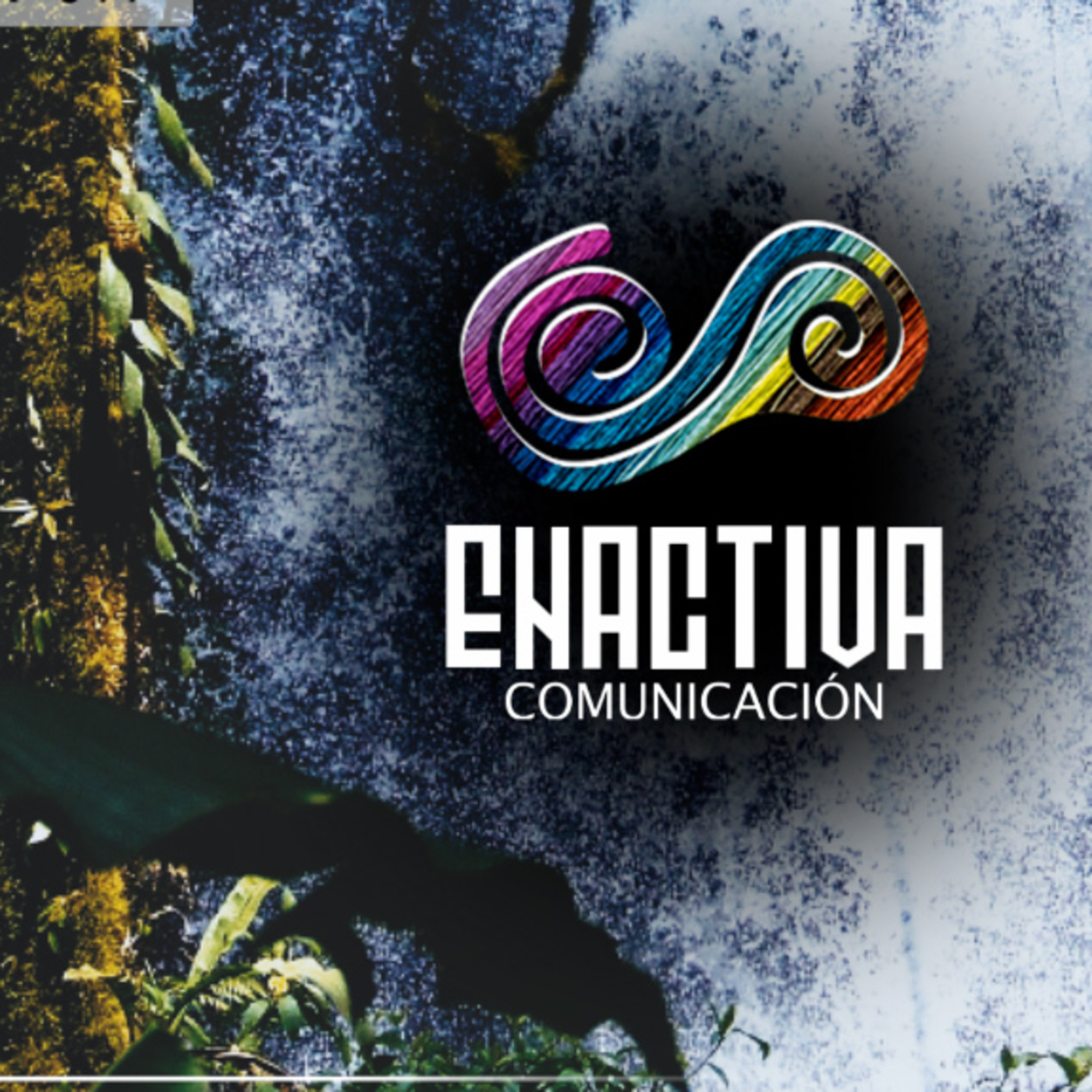 Enactiva Comunicación