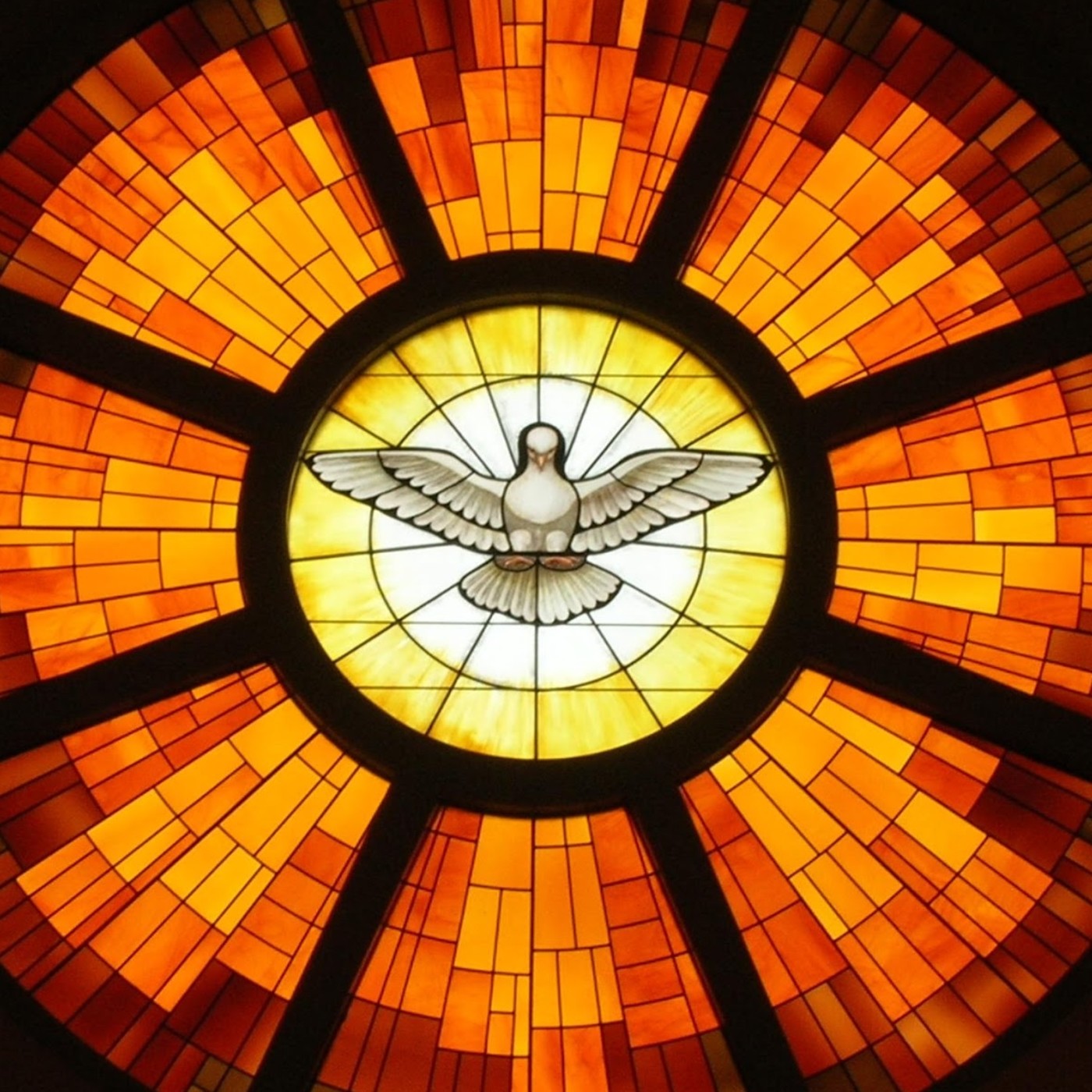 Álbum-Sin Cruz no hay Vida