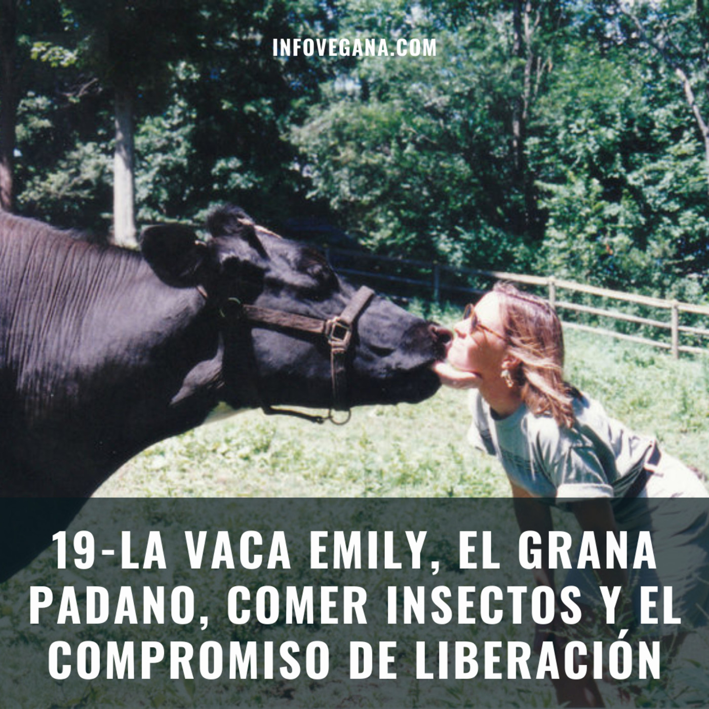 19 - LA VACA EMILY, EL GRANA PADANO, COMER INSECTOS Y EL COMPROMISO DE LIBERACIÓN | Veganismo y Sostenibilidad episode artwork