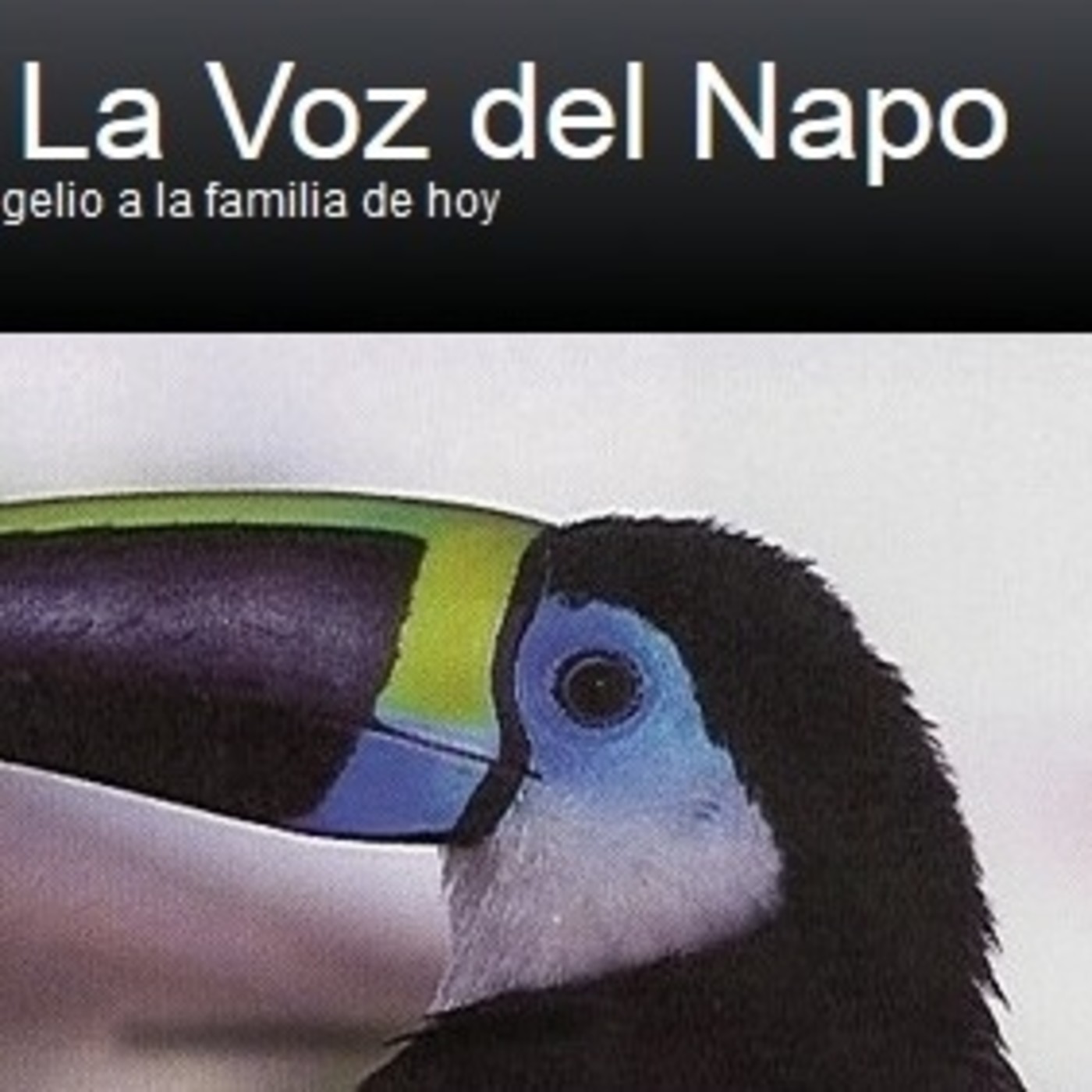 Info Amazonía