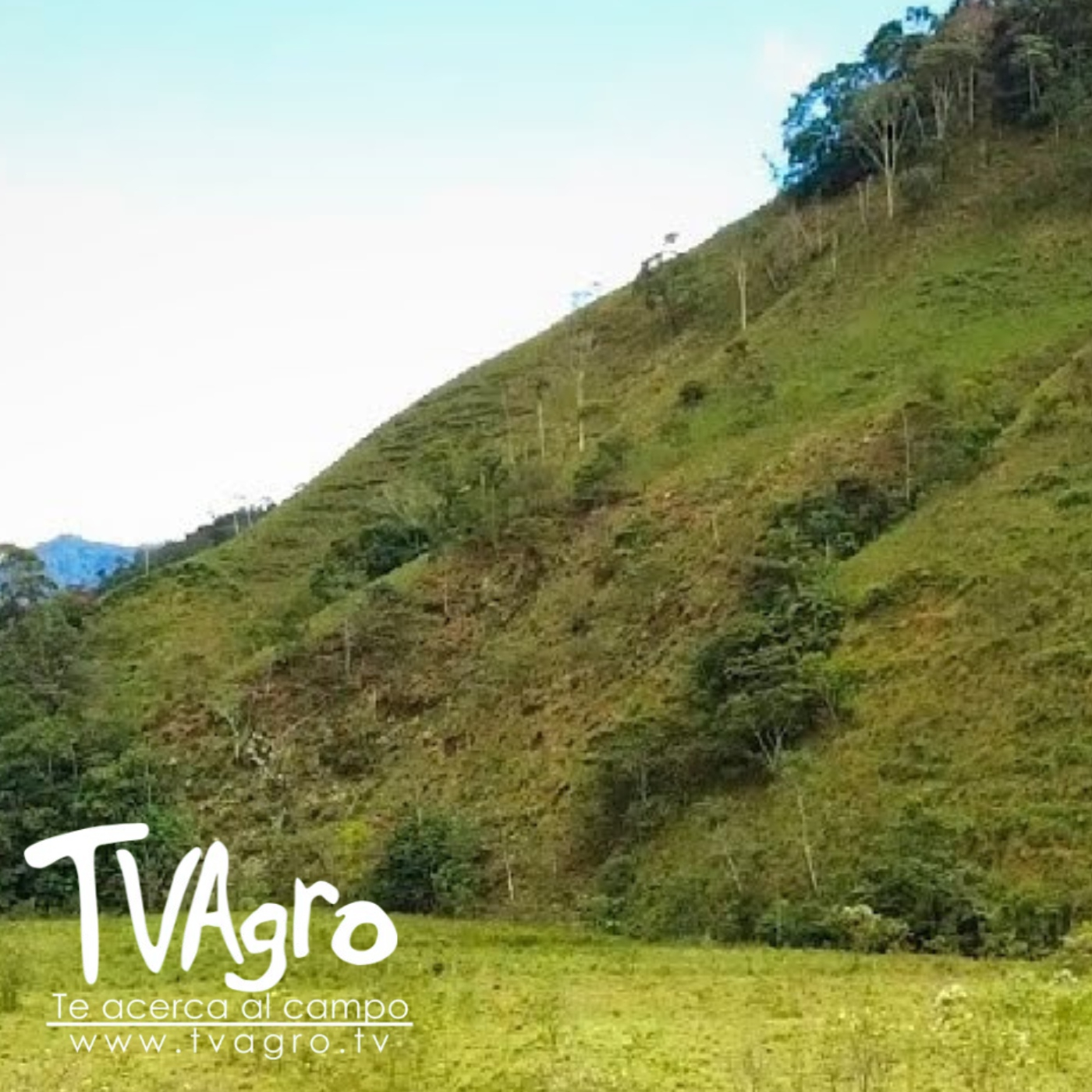 TV AGRO