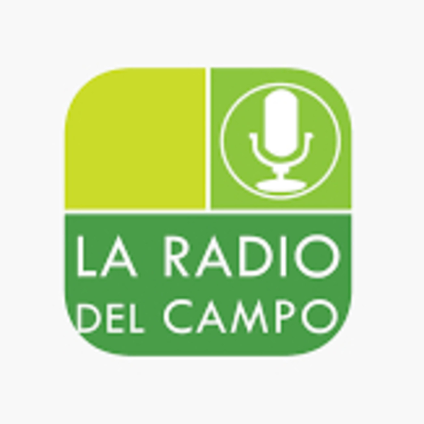 Nuevos Vientos en el Campo 02/03/2019