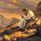 Cuando crece la maldad se enfría el amor, 1ro de Papa Cuaresma