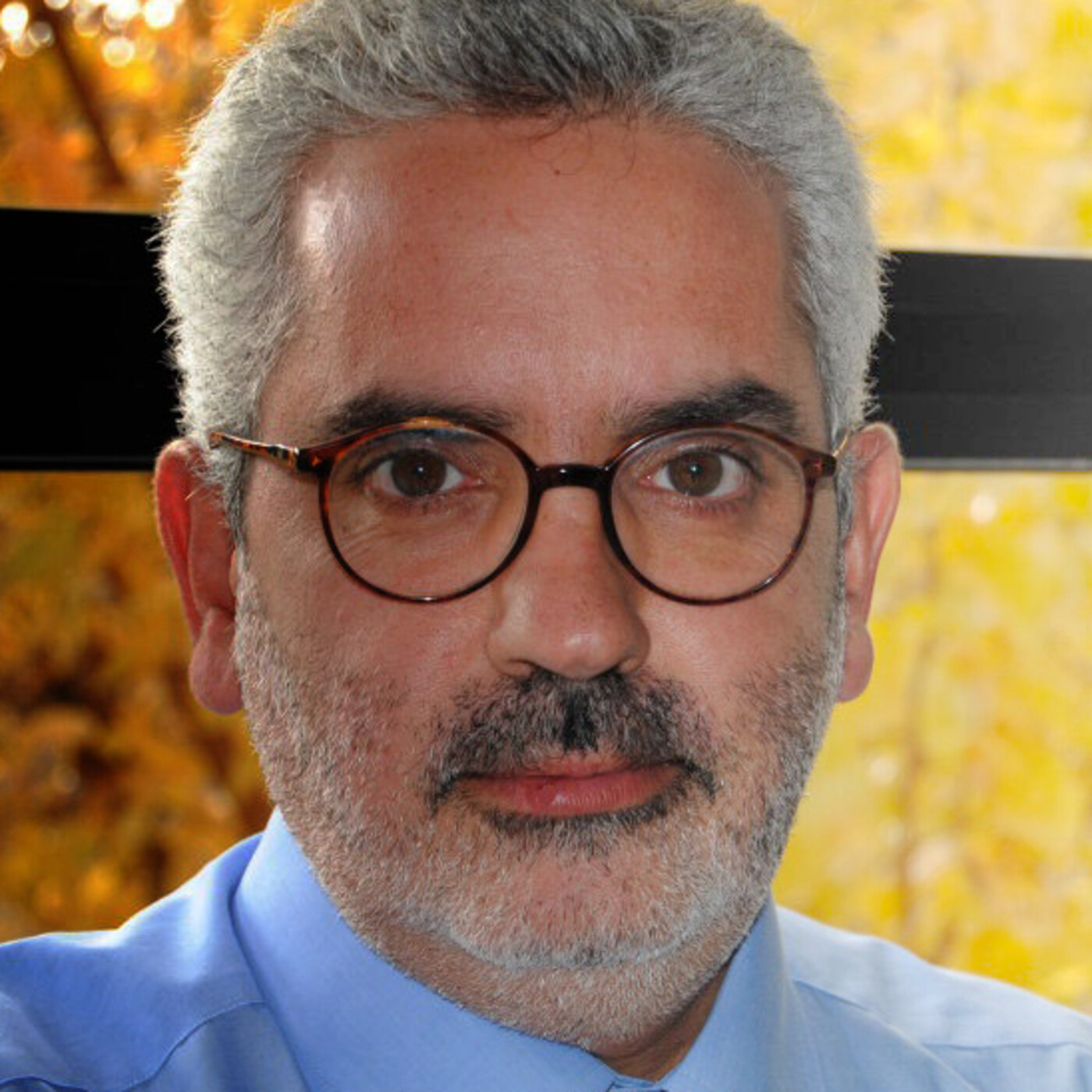Estrategia Minerva