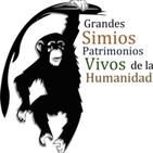 Mágica Vida 159. "Salvar las Selvas tropicales y grandes Simios" P. Pozas./ Ramiro Calle "Yoga, una Medicina Natural"