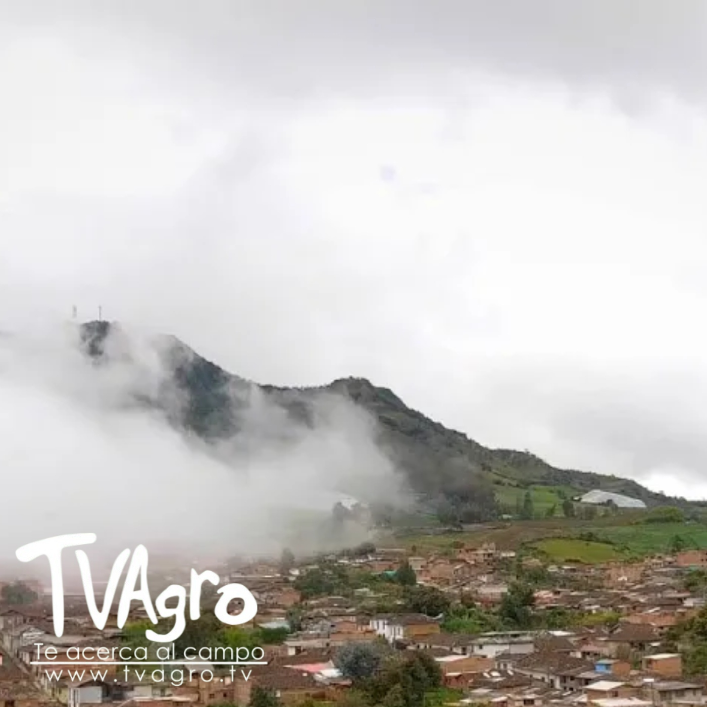 TV AGRO
