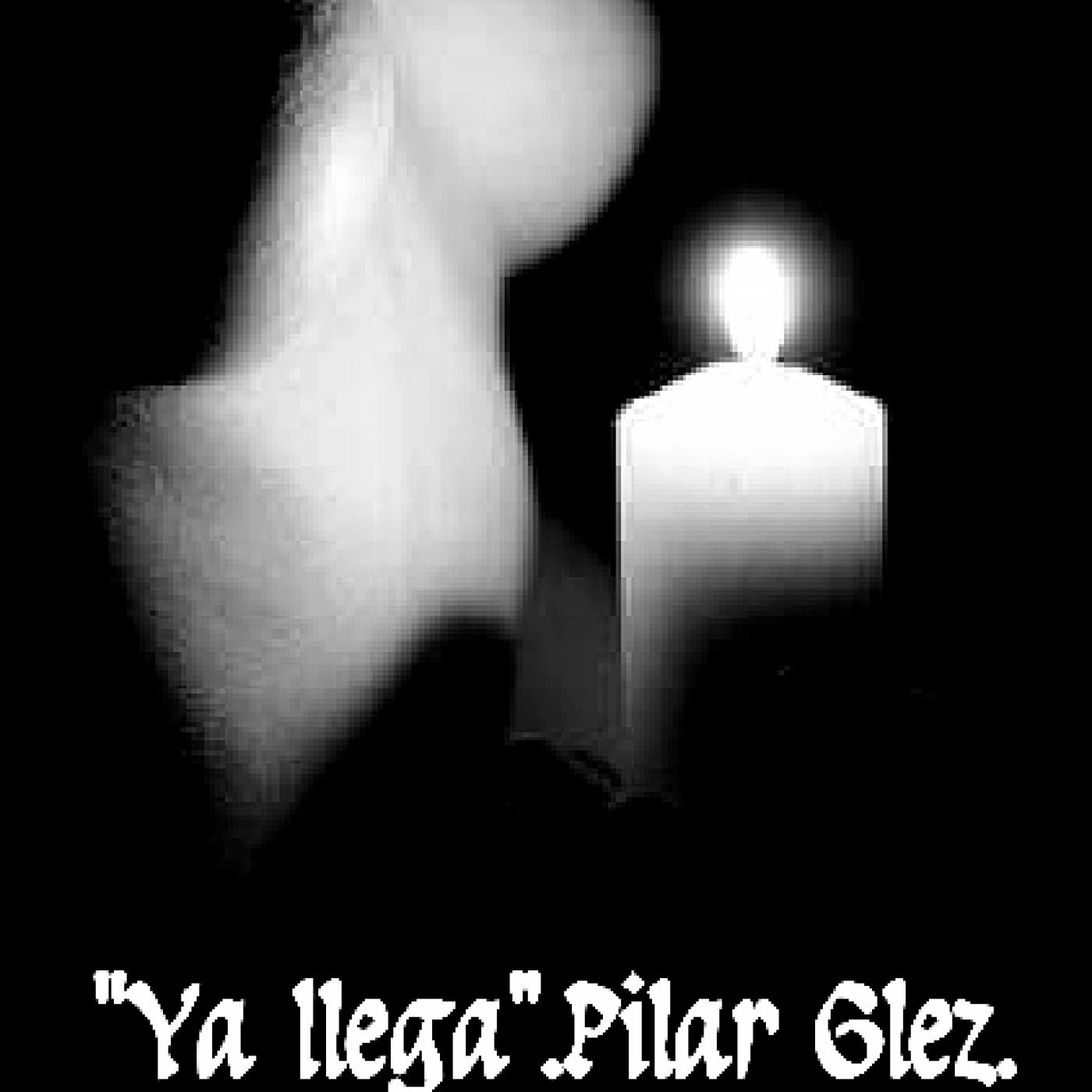 AUDIO-POEMAS PILAR GONZÁLEZ NAVARRO