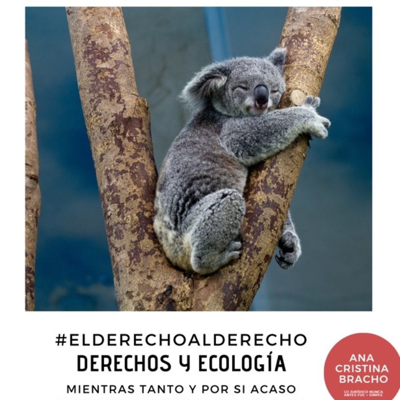 Columna El Derecho Al Derecho