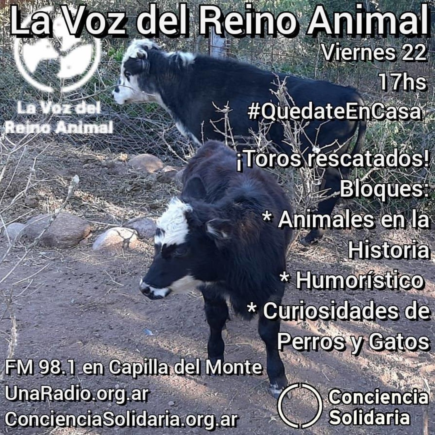 #LaVozDelReinoAnimal 22.05.2020 episode artwork