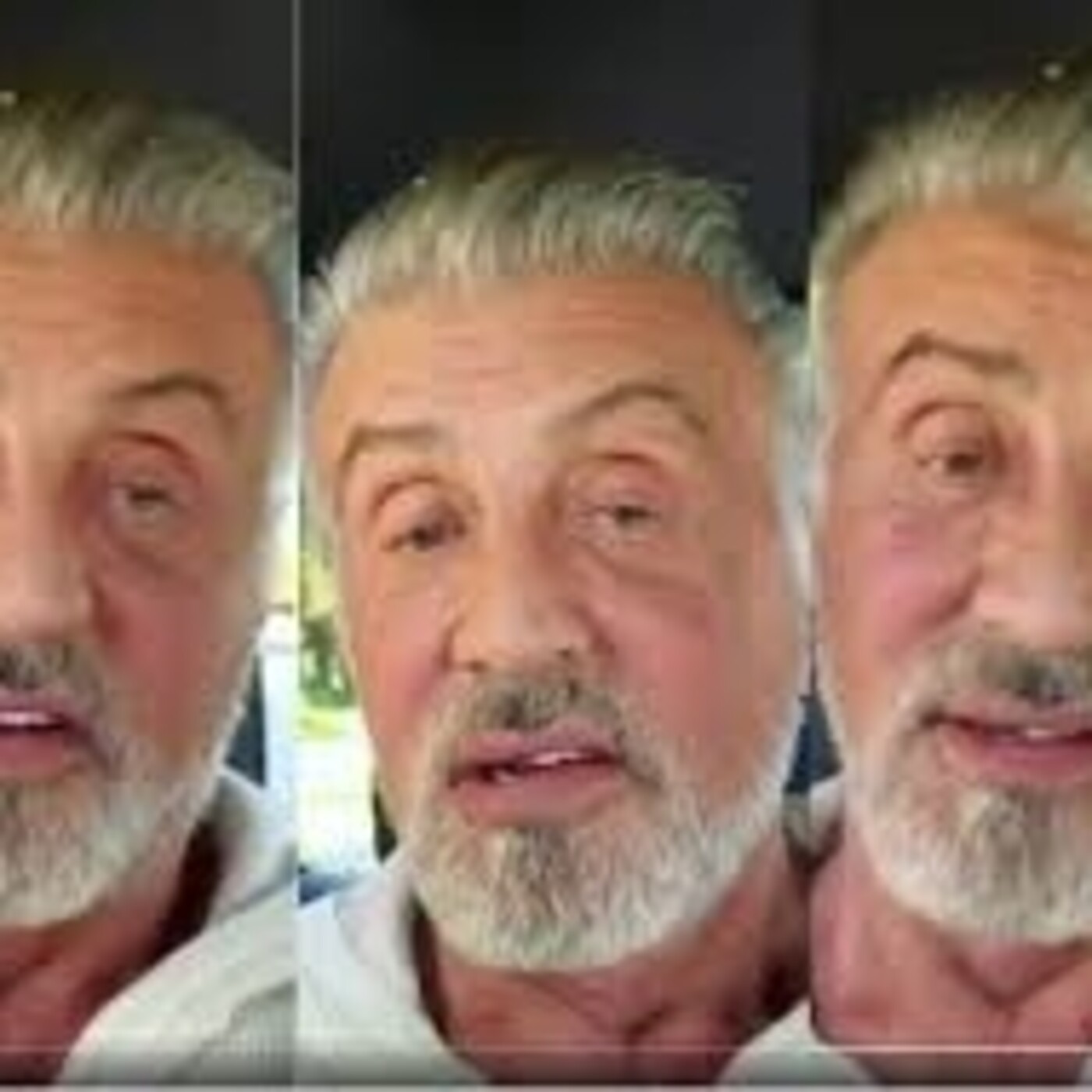 Stallone de mi vida