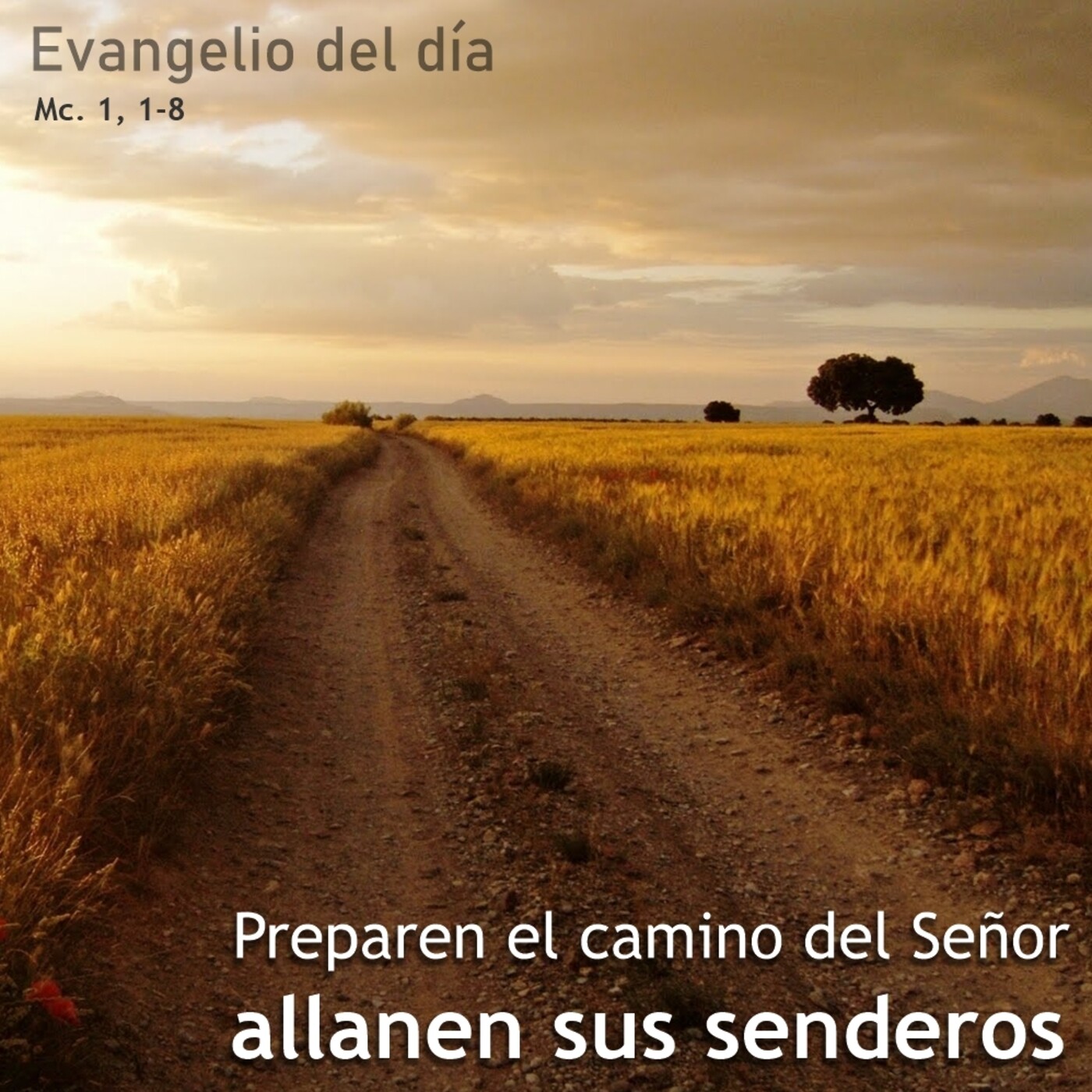 6 de diciembre de 2020