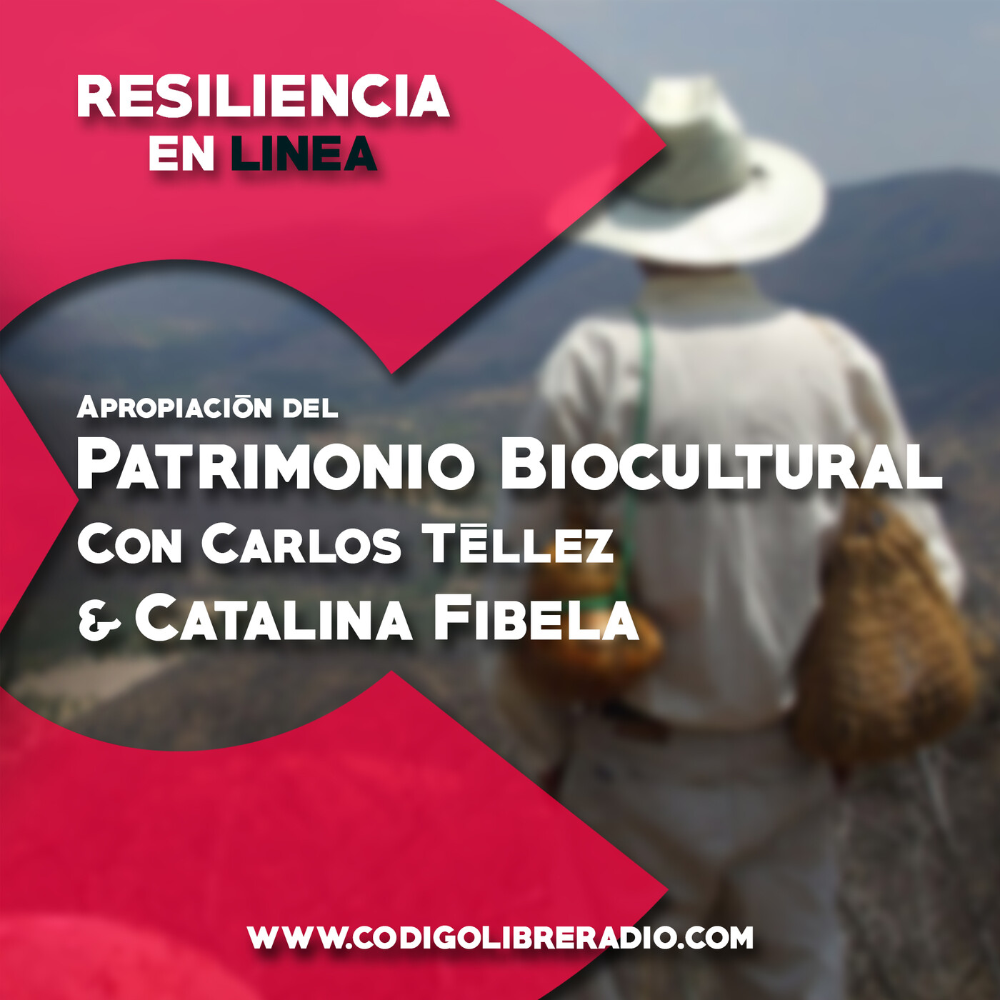 Resiliencia en Linea