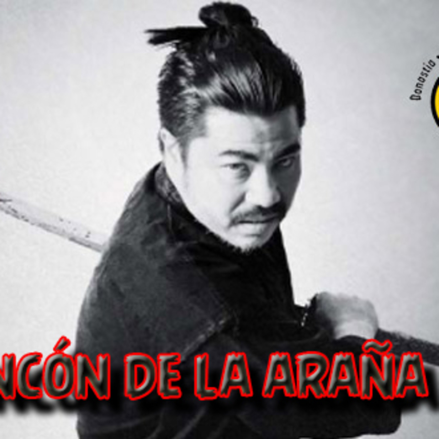 El Rincón De La Araña