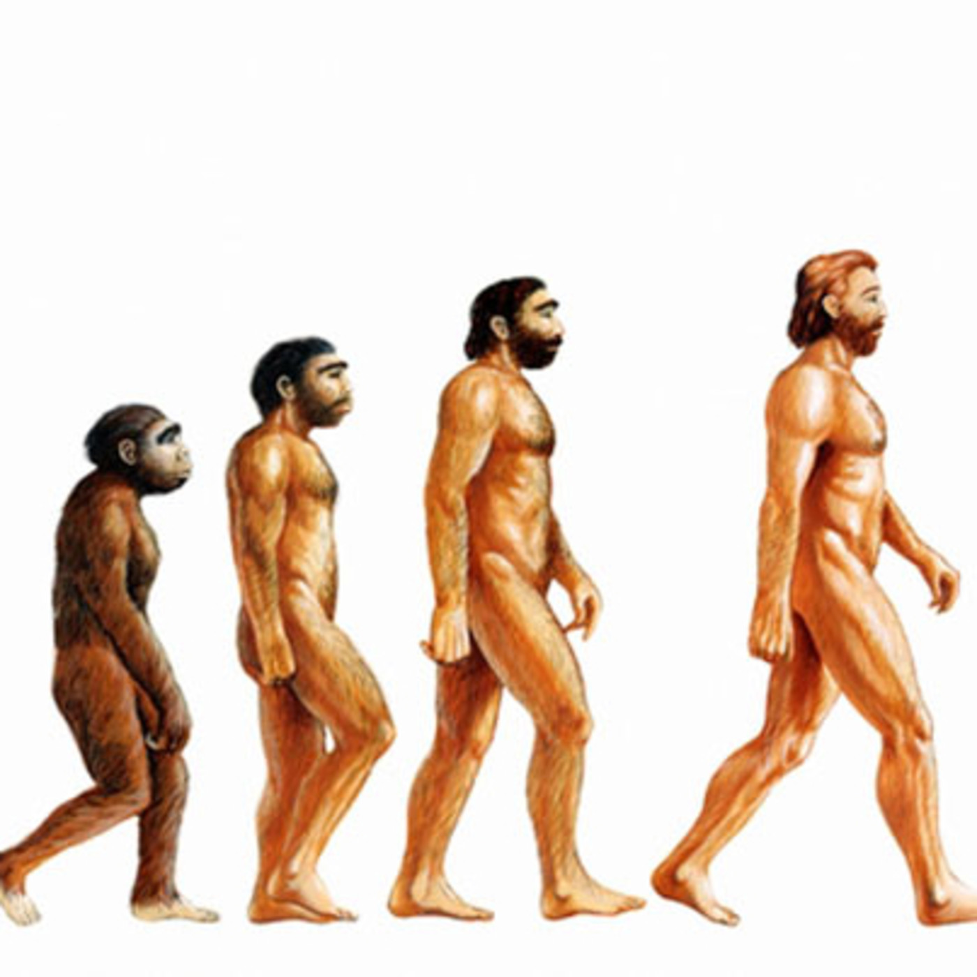 Grandes Enigmas de la Humanidad