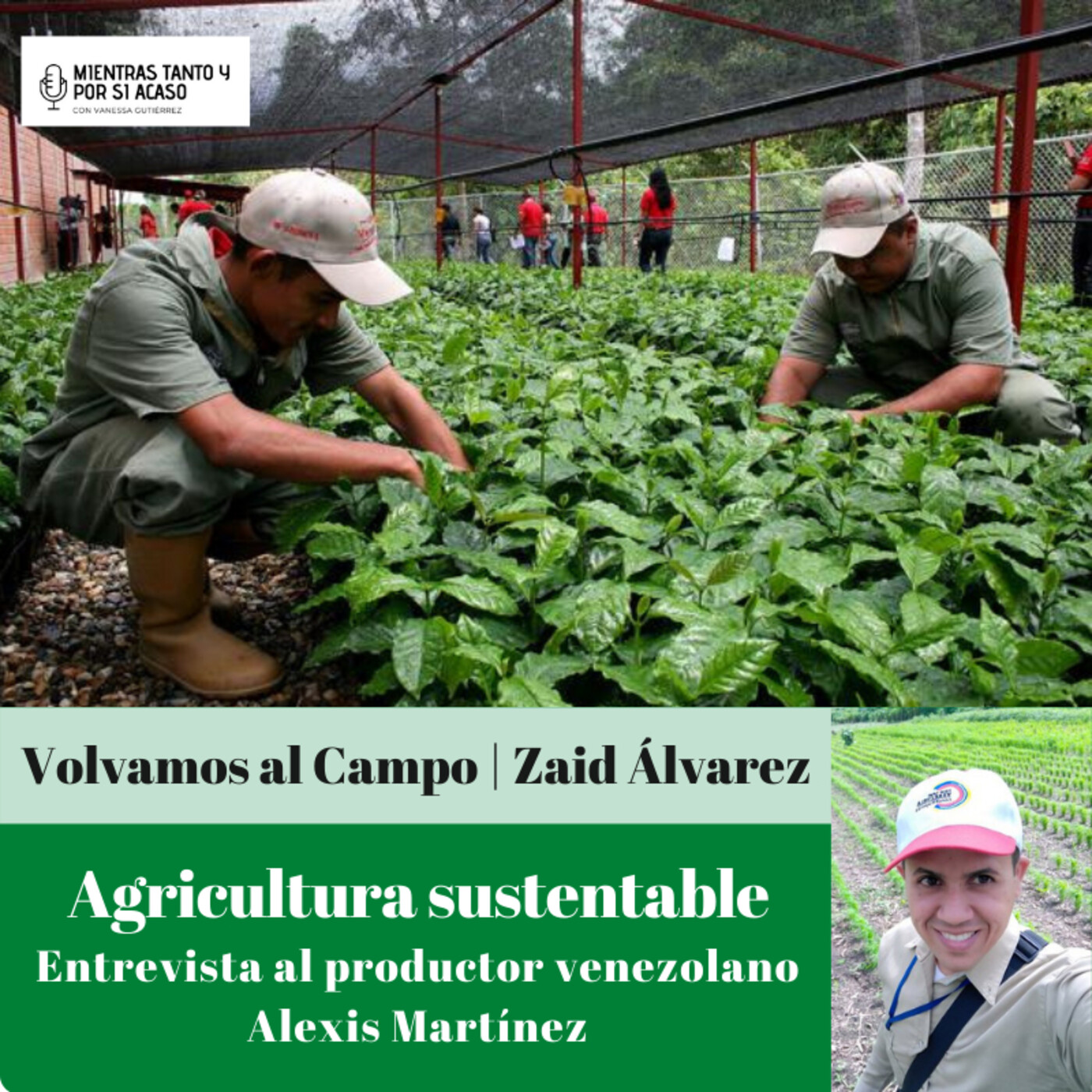 Columna Volvamos al Campo