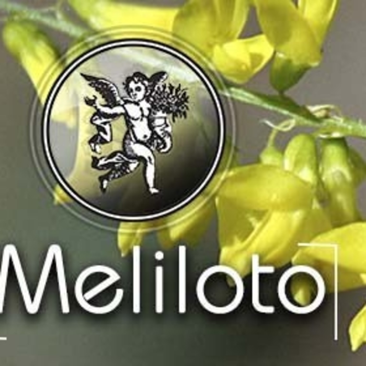 El Ángel de tu salud- MELILOTO episode artwork