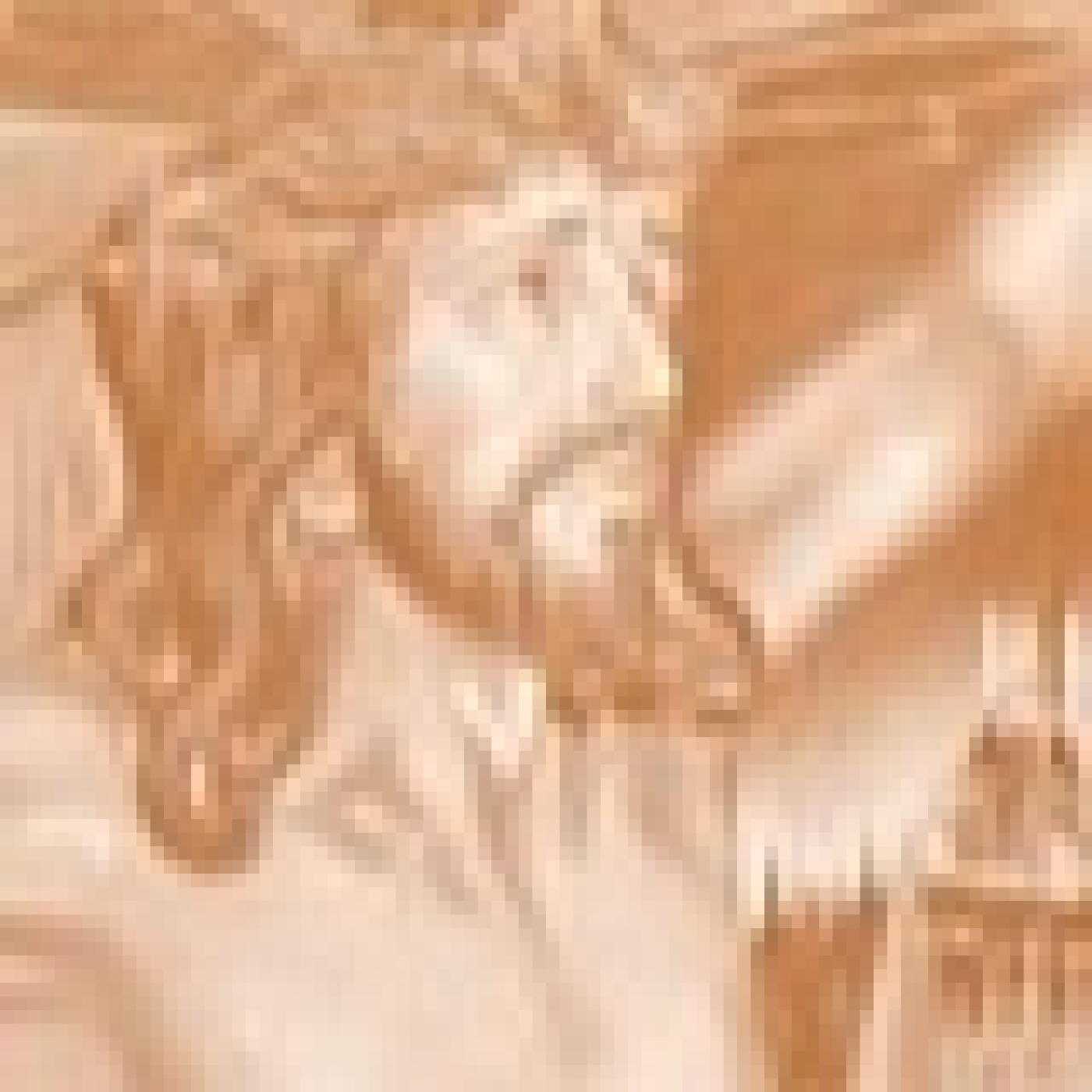 Mencía Levanta
