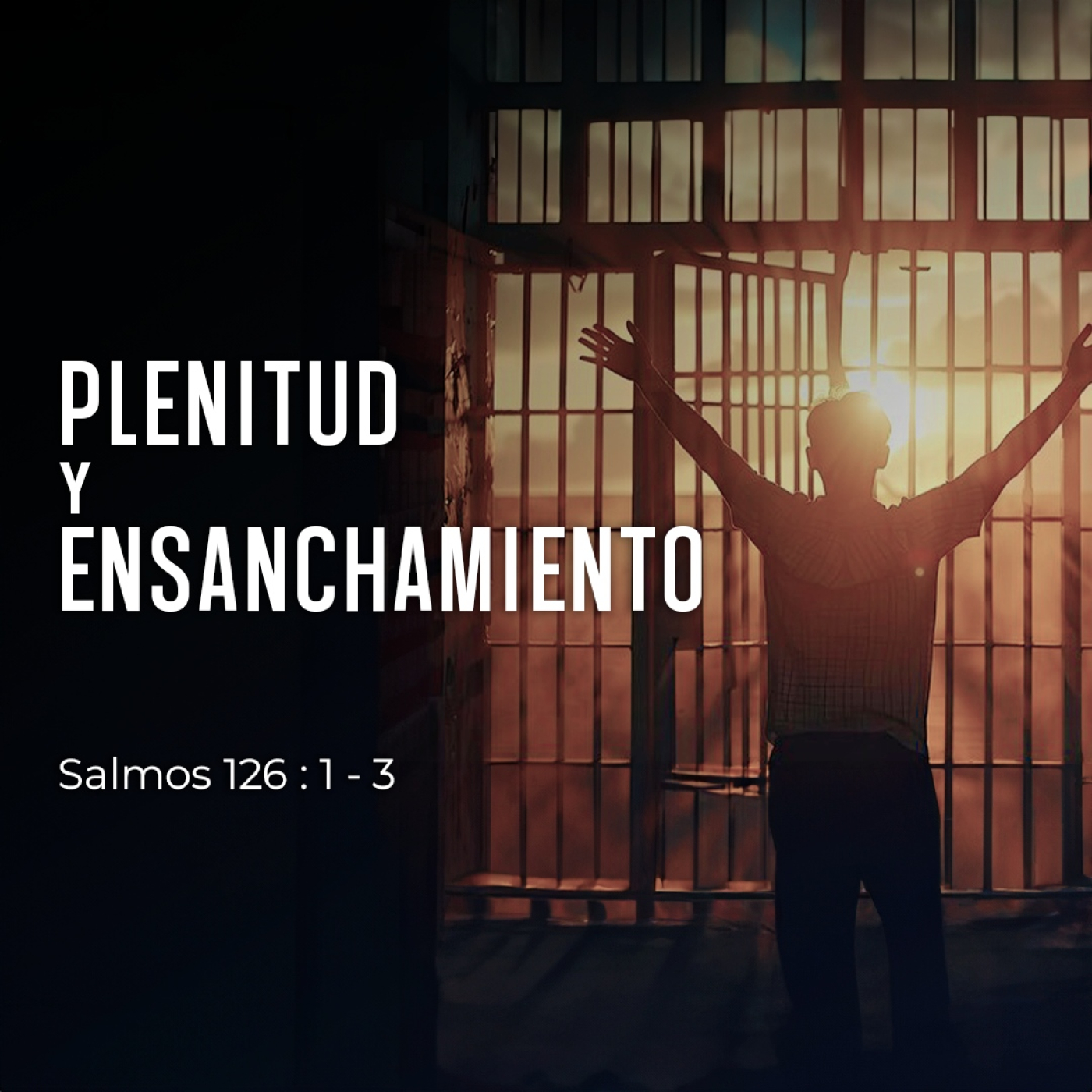 Prédicas