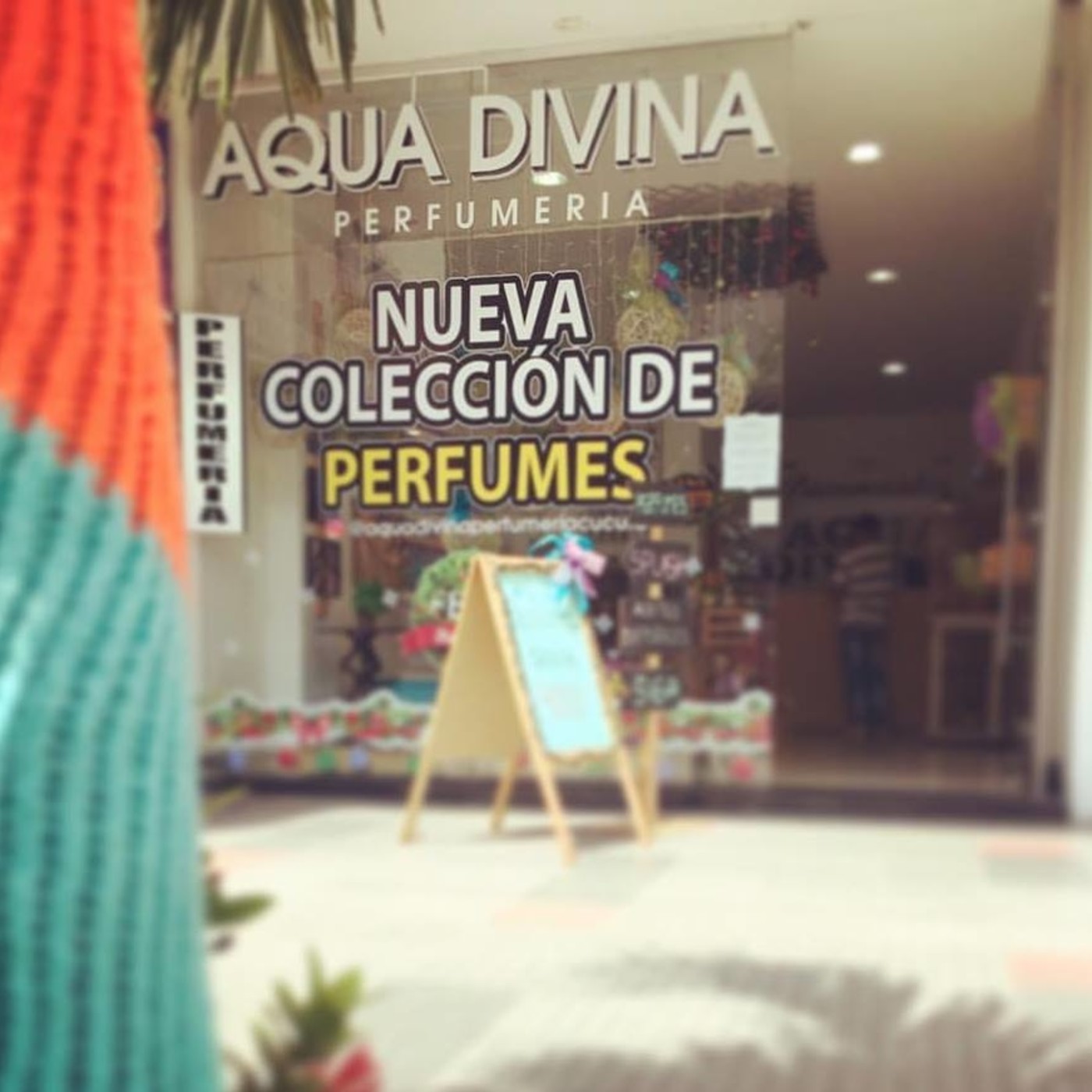 Mi Primera Empresa