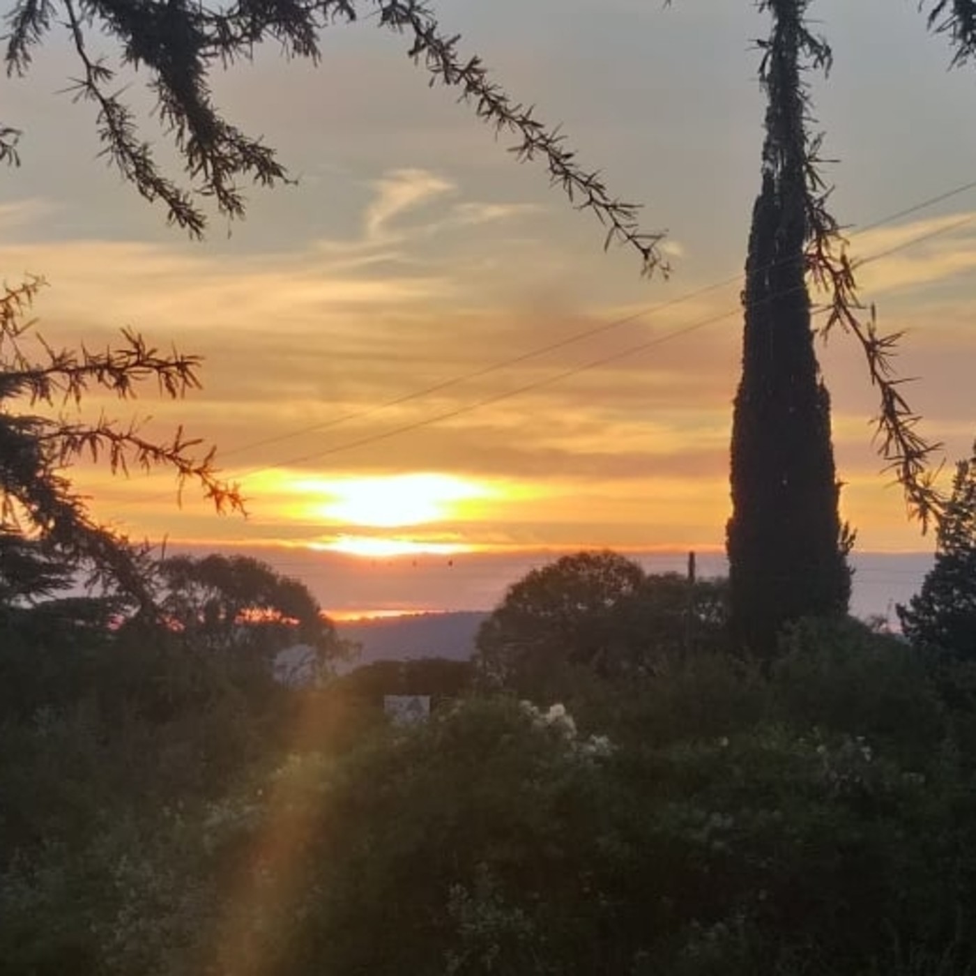 Podcast de La Consciencia y el Cosmos