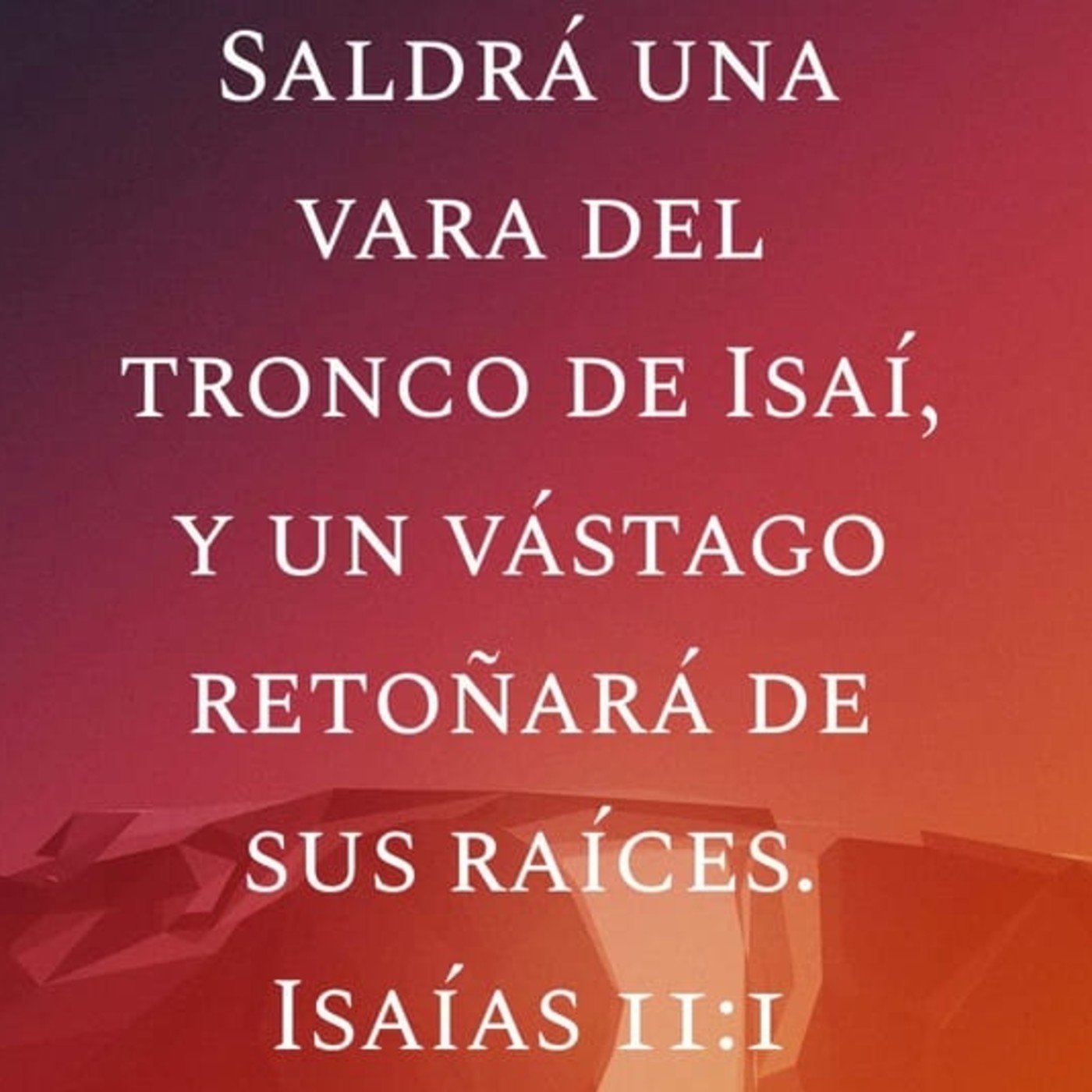 Sermones