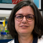 Ingeniería de Genomas de Coronavirus - Dra. Sonia Zuñiga -