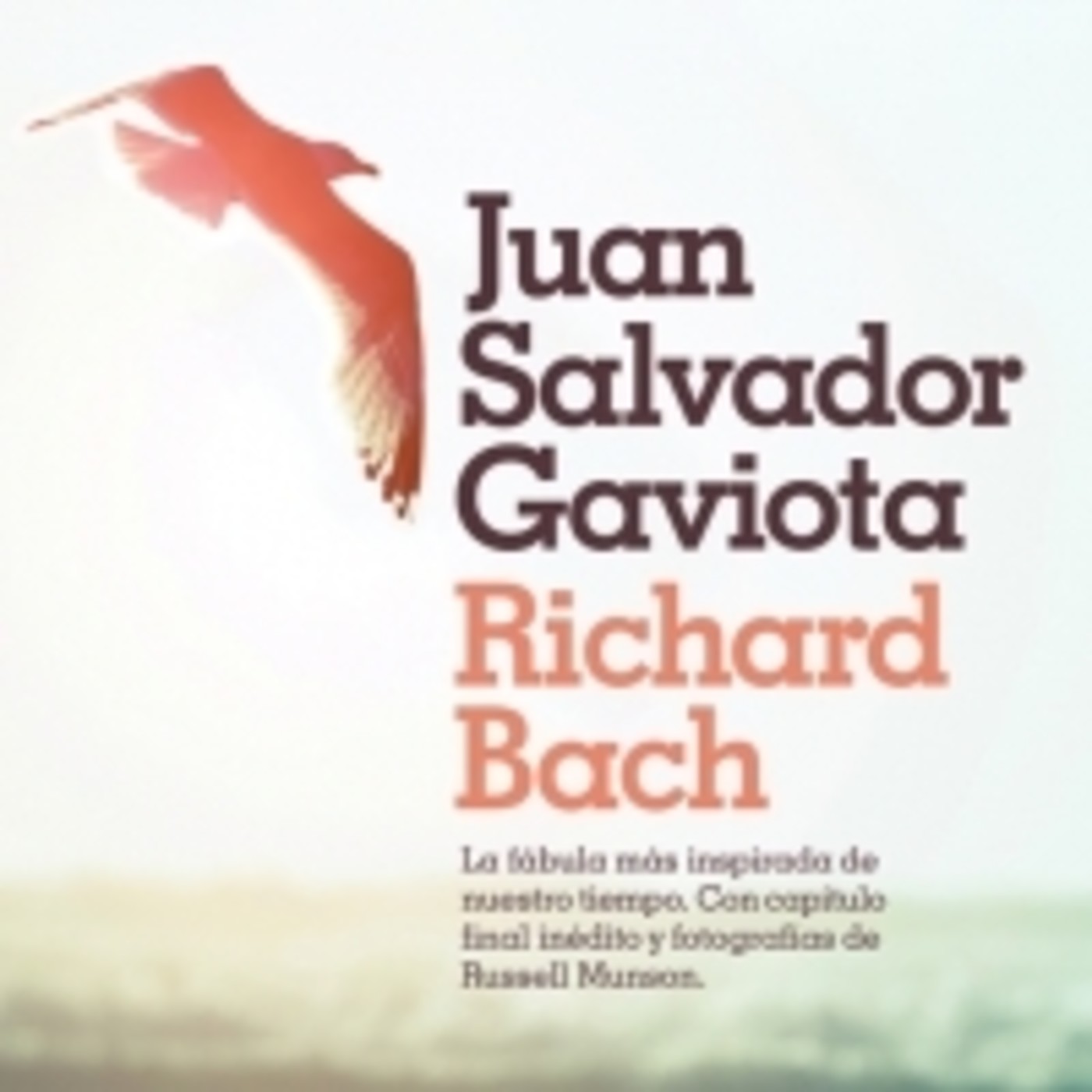 "Juan Salvador Gaviota", de Richard Bach (fragmento)