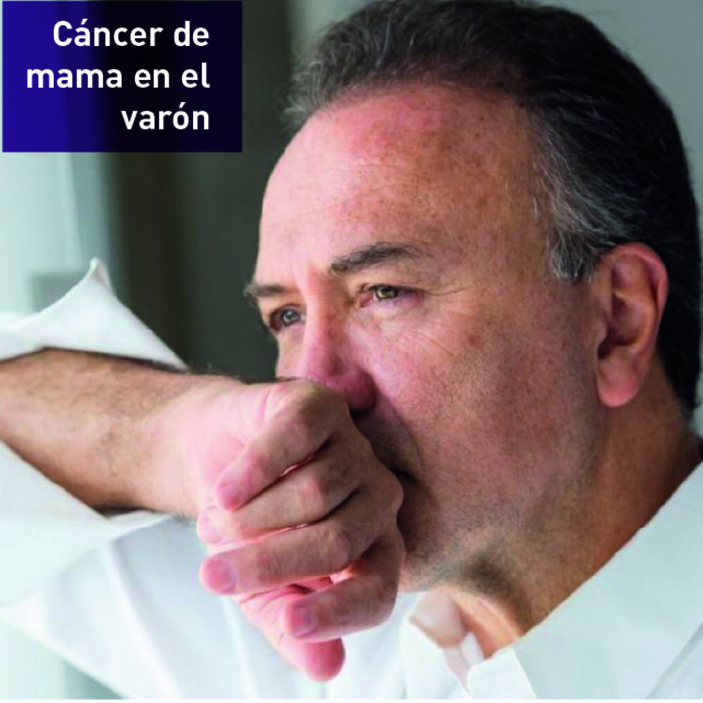 GEICAM T-Habla