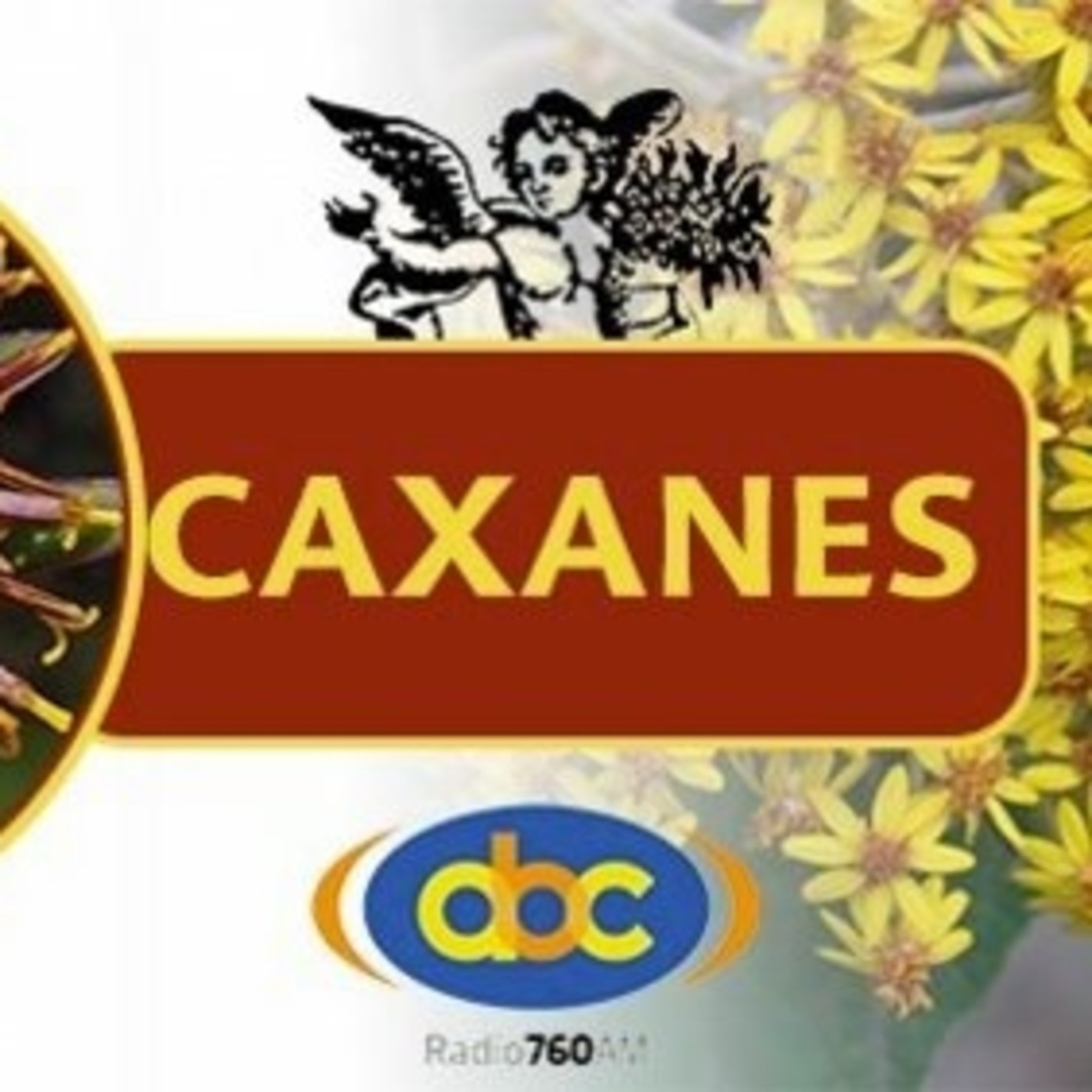 El Ángel de tu Salud - CAXANES III episode artwork