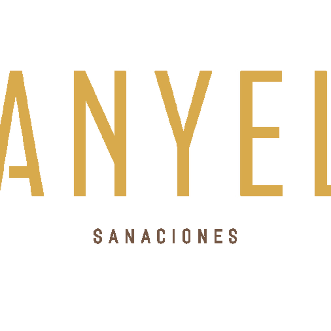 MEDITACIONES CON ANYEL