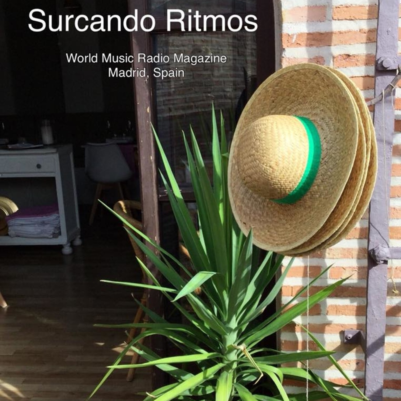 Surcando Ritmos