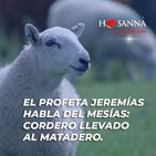 Padre John. Reflexión evangelio madrugada del 28 de Marzo de 2020