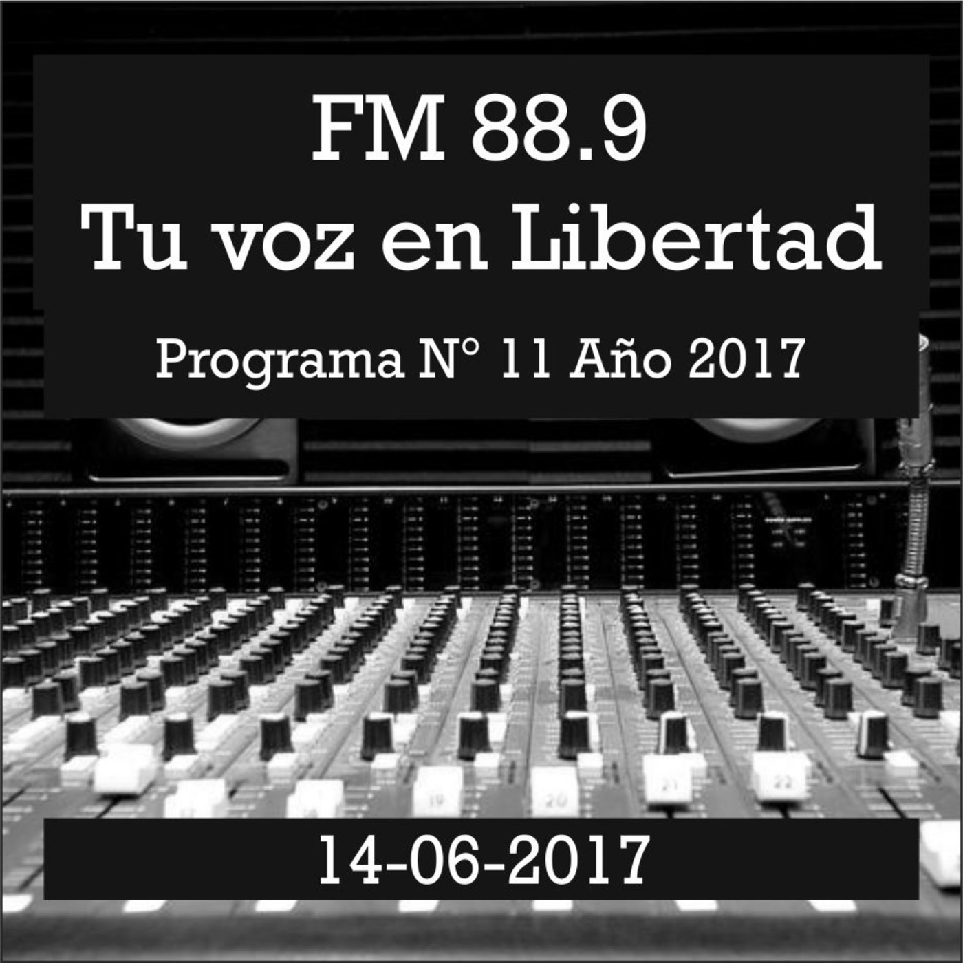 Programas Radiales 2017