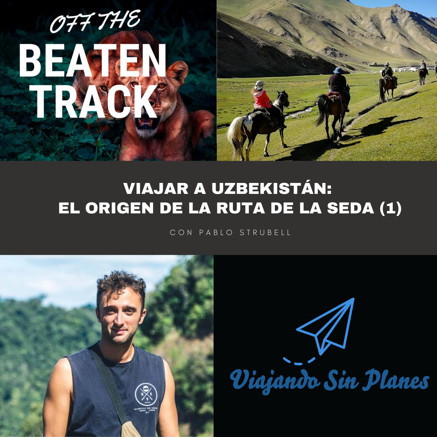 Viajando Sin Planes