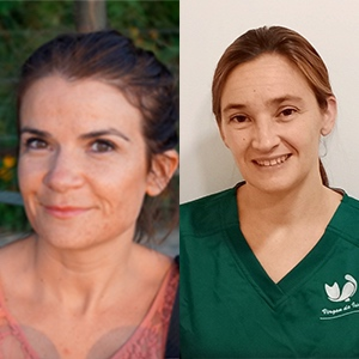 Podcast de Ideant Veterinaria