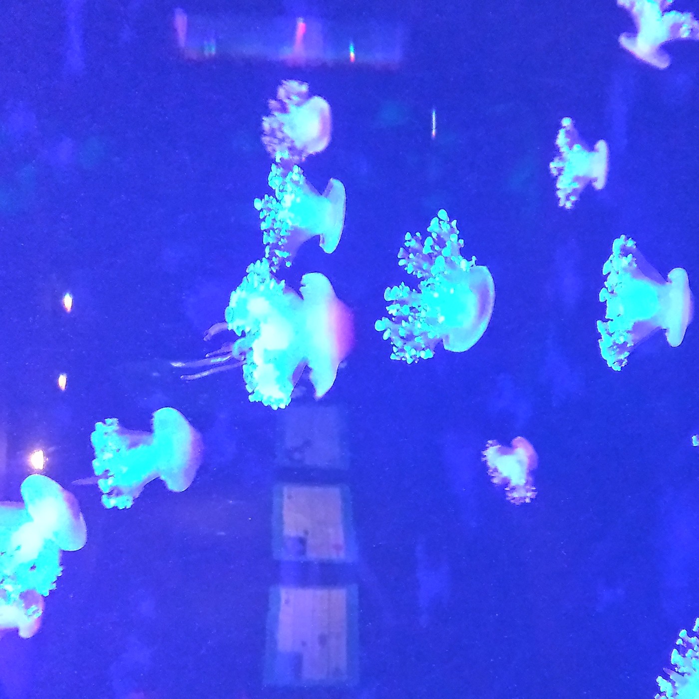 Nuestra Mente es Maravillosa