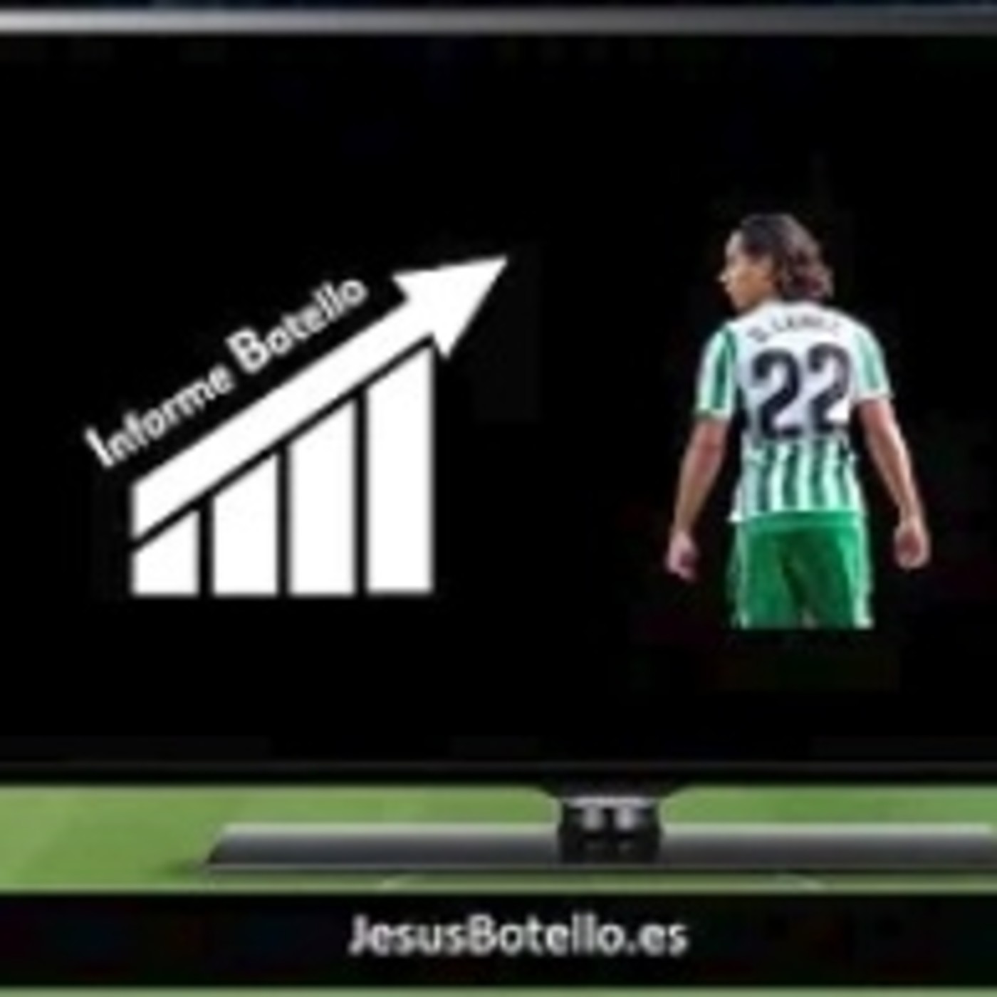 Informe Botello