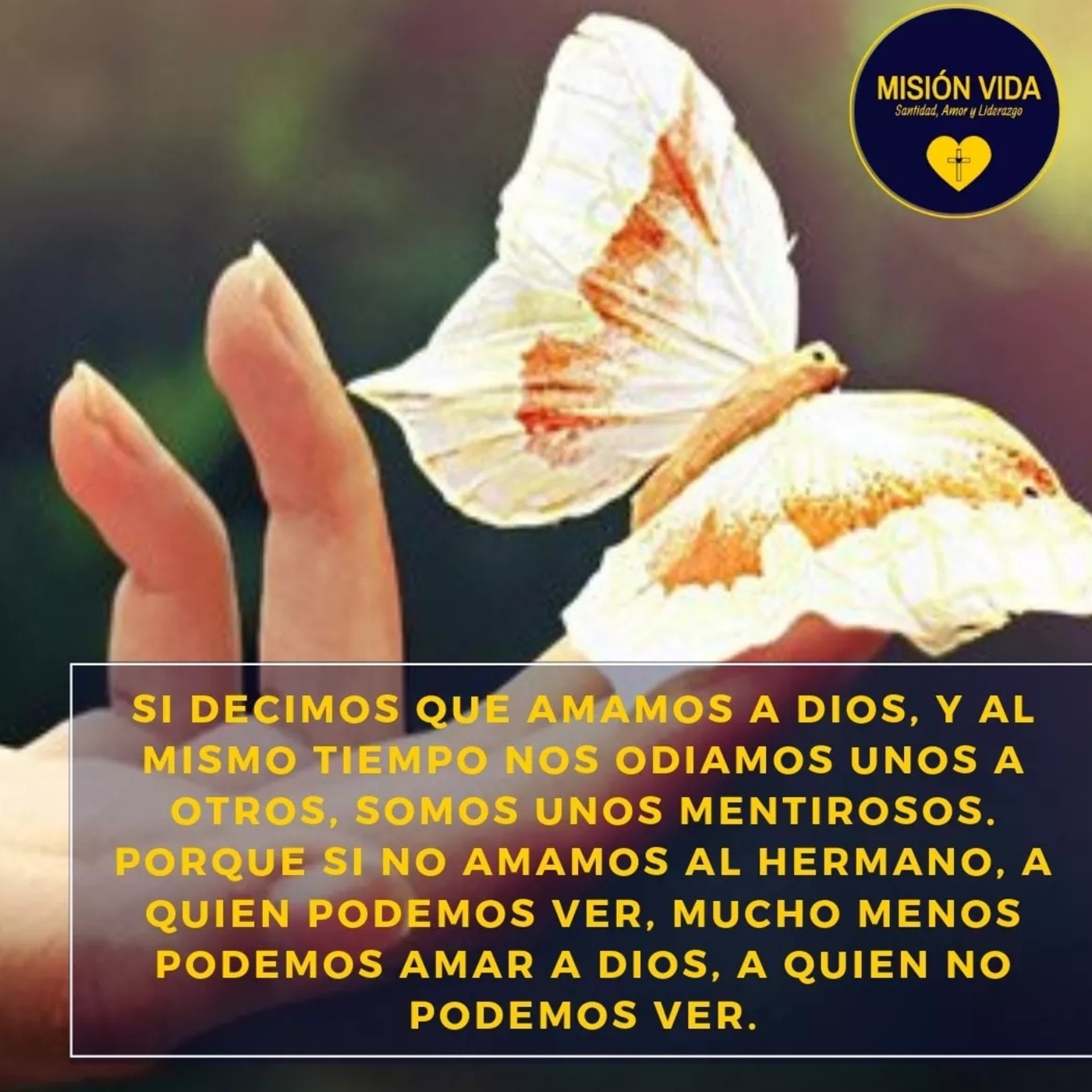 Mensaje al corazón