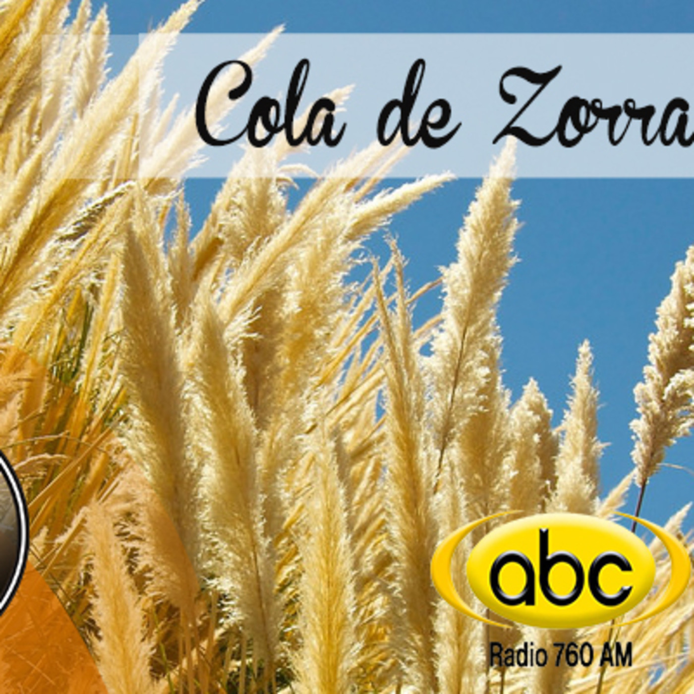 El Angel de tu Salud - COLA DE ZORRA episode artwork