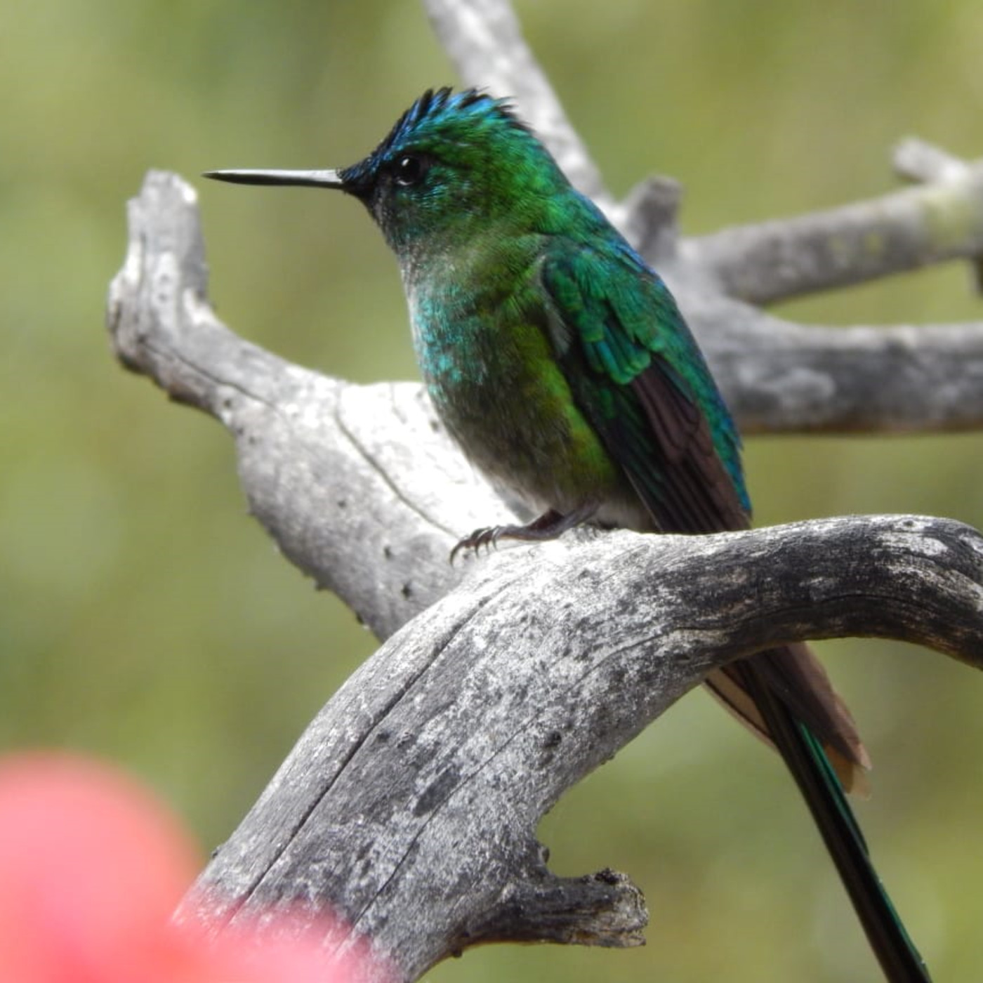 PODCAST EL VALOR DE LA RADIO