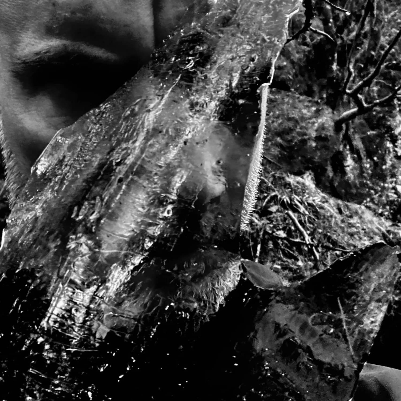 Taake - 2026 - En skog av nidstang  78%  episode artwork