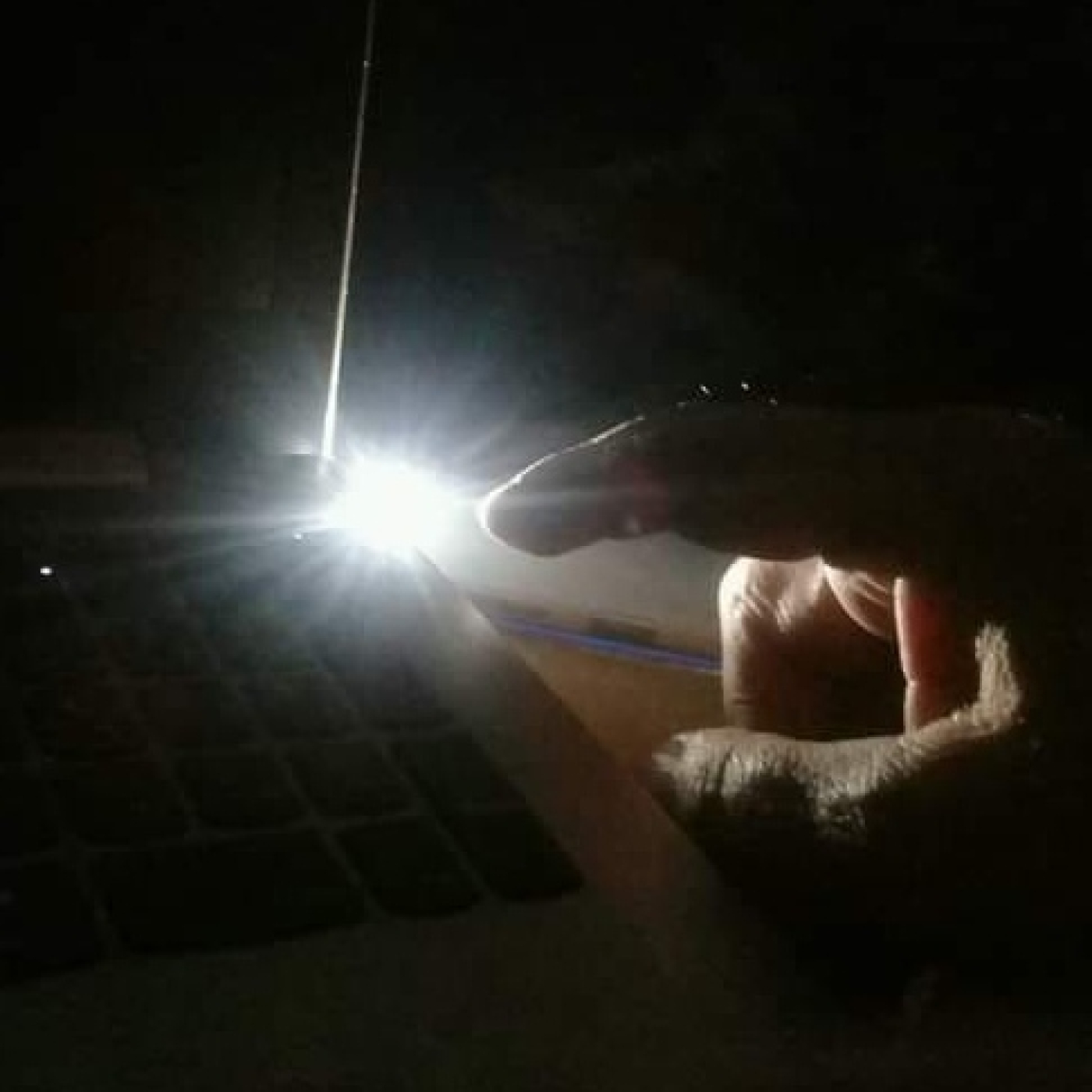 El sonido y la furia