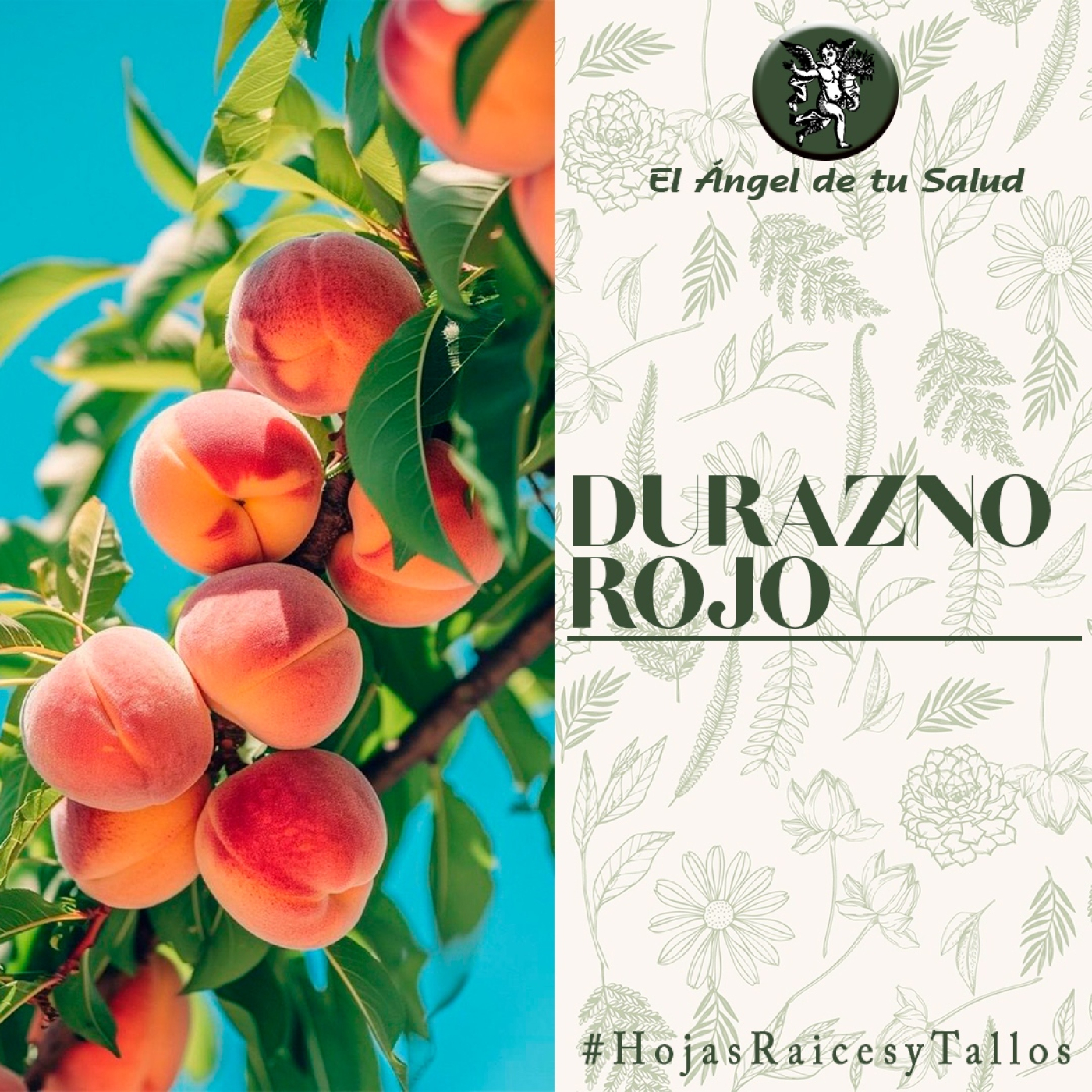 El Ángel de tu Salud - Durazno Rojo** episode artwork