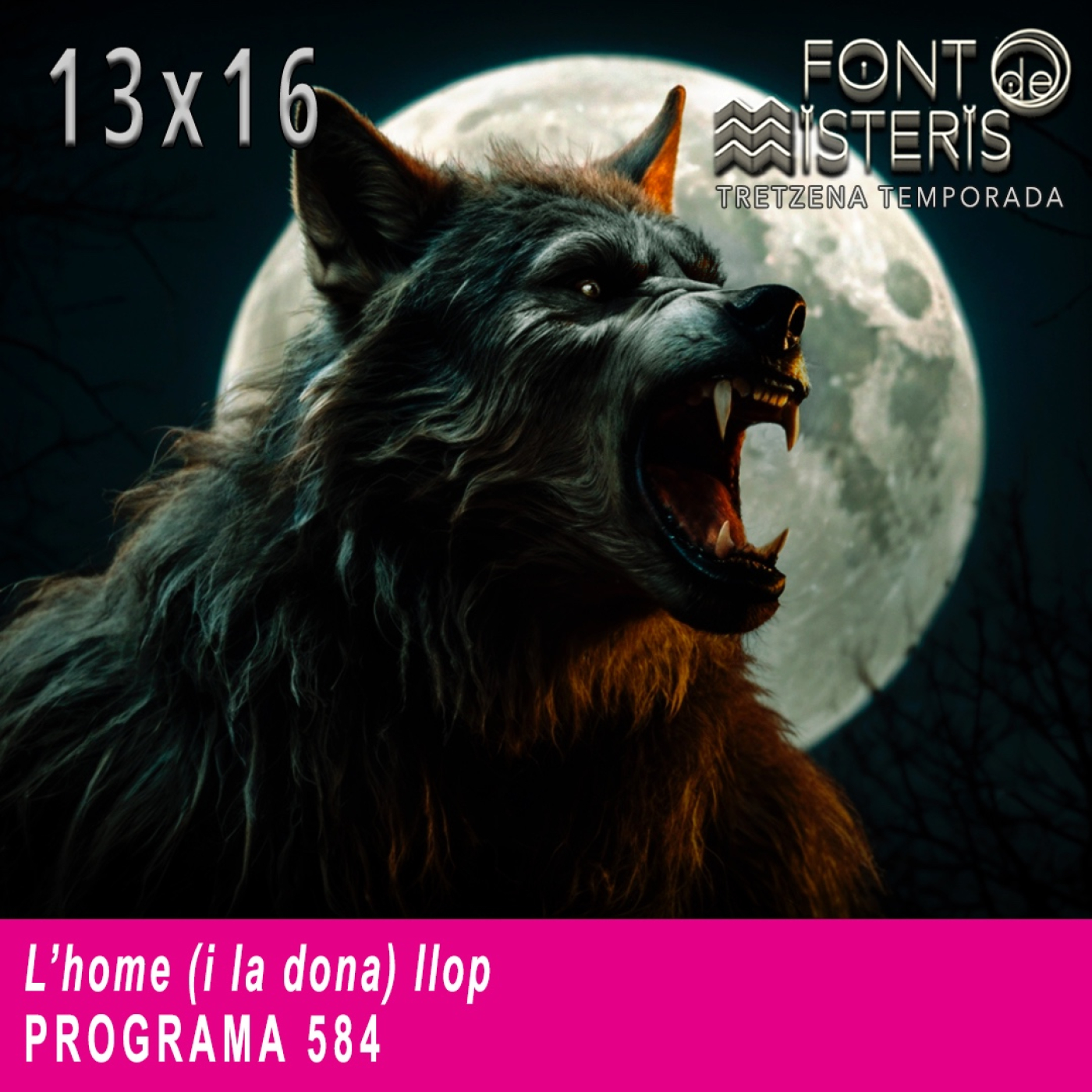 L'home (i la dona) llop (T13- Programa 584)