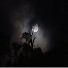 Una carretera iluminada por la luna