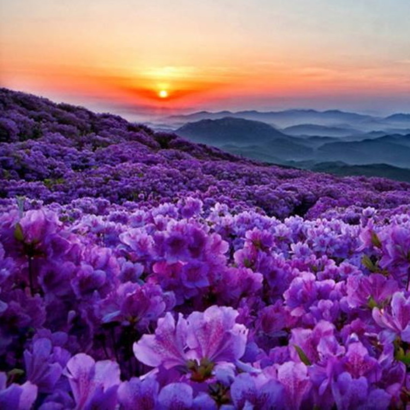 Brahma Kumaris Valencia