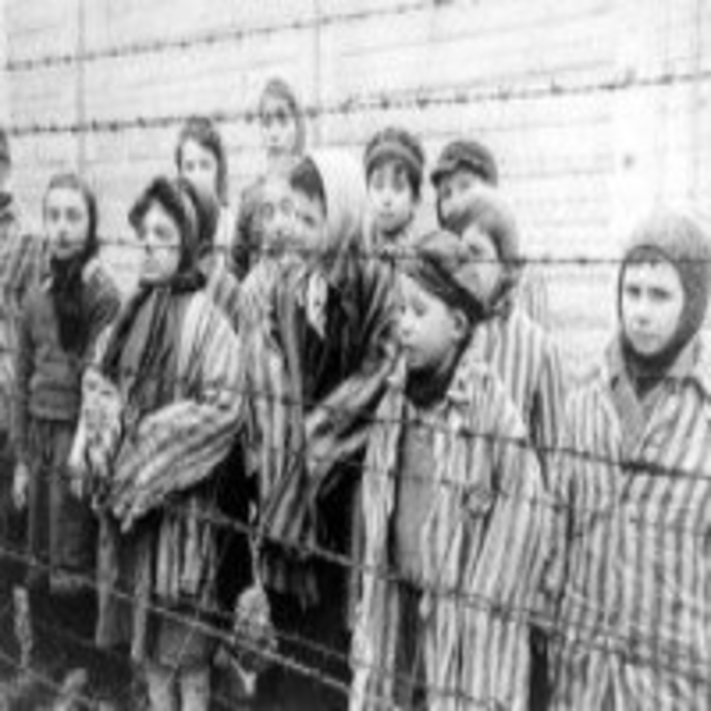 Especial 70 aniversario de la muerte de Hitler: Tocado por Auschwitz episode artwork