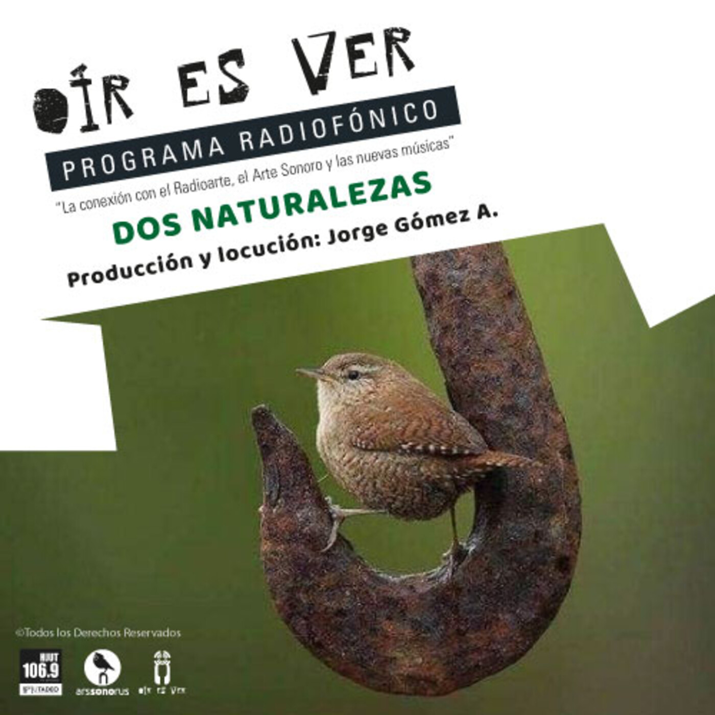 OIR ES VER