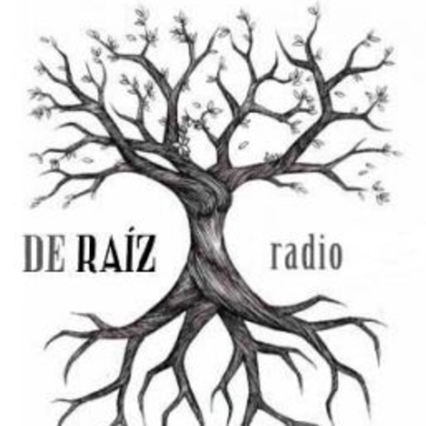 De Raíz Radio